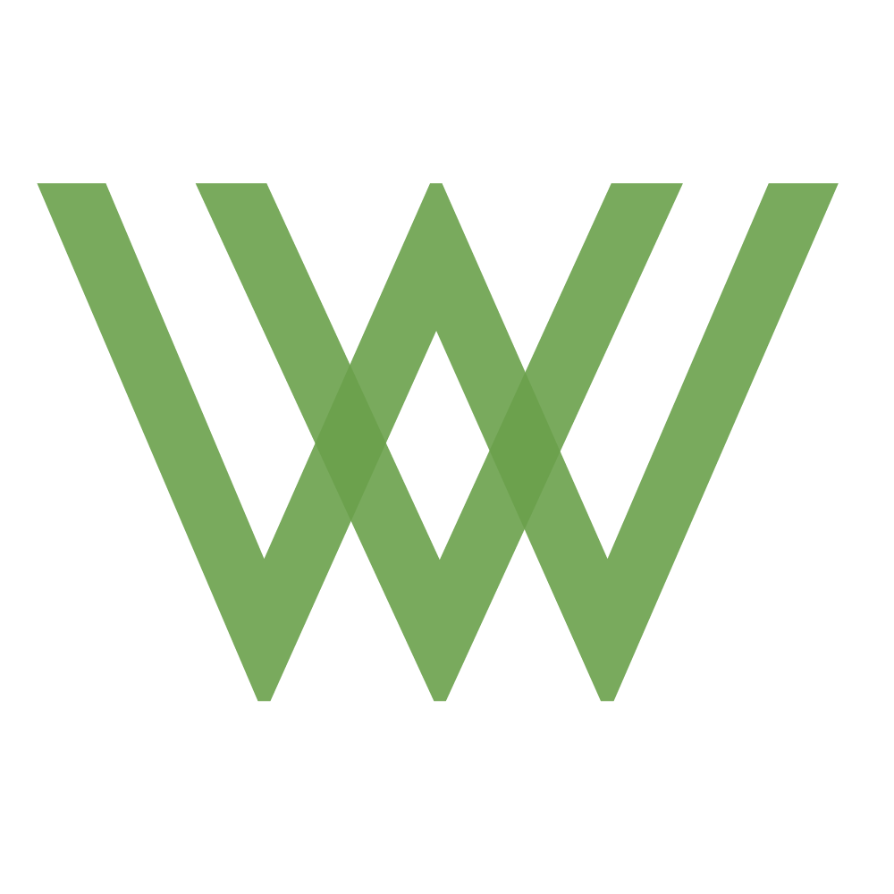 Website Vidya