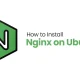 How To Install Nginx on Ubuntu 24.04