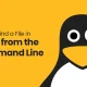 How to Find a File in Linux from the Command Line