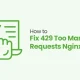 How to Fix 429 Too Many Requests Nginx Error